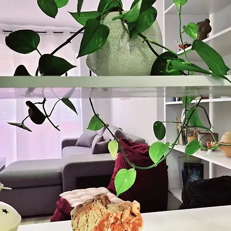 Apartment Micasatucasa Tirana